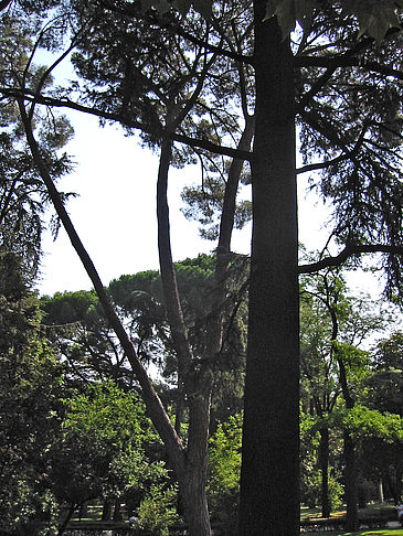 Parque del buen Retiro