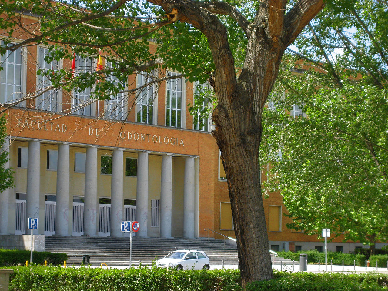 Universidad Complutense Foto 